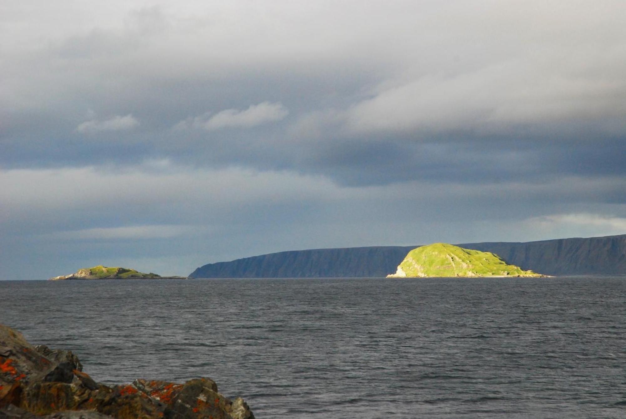 Kongsfjord Holiday Home Eksteriør bilde