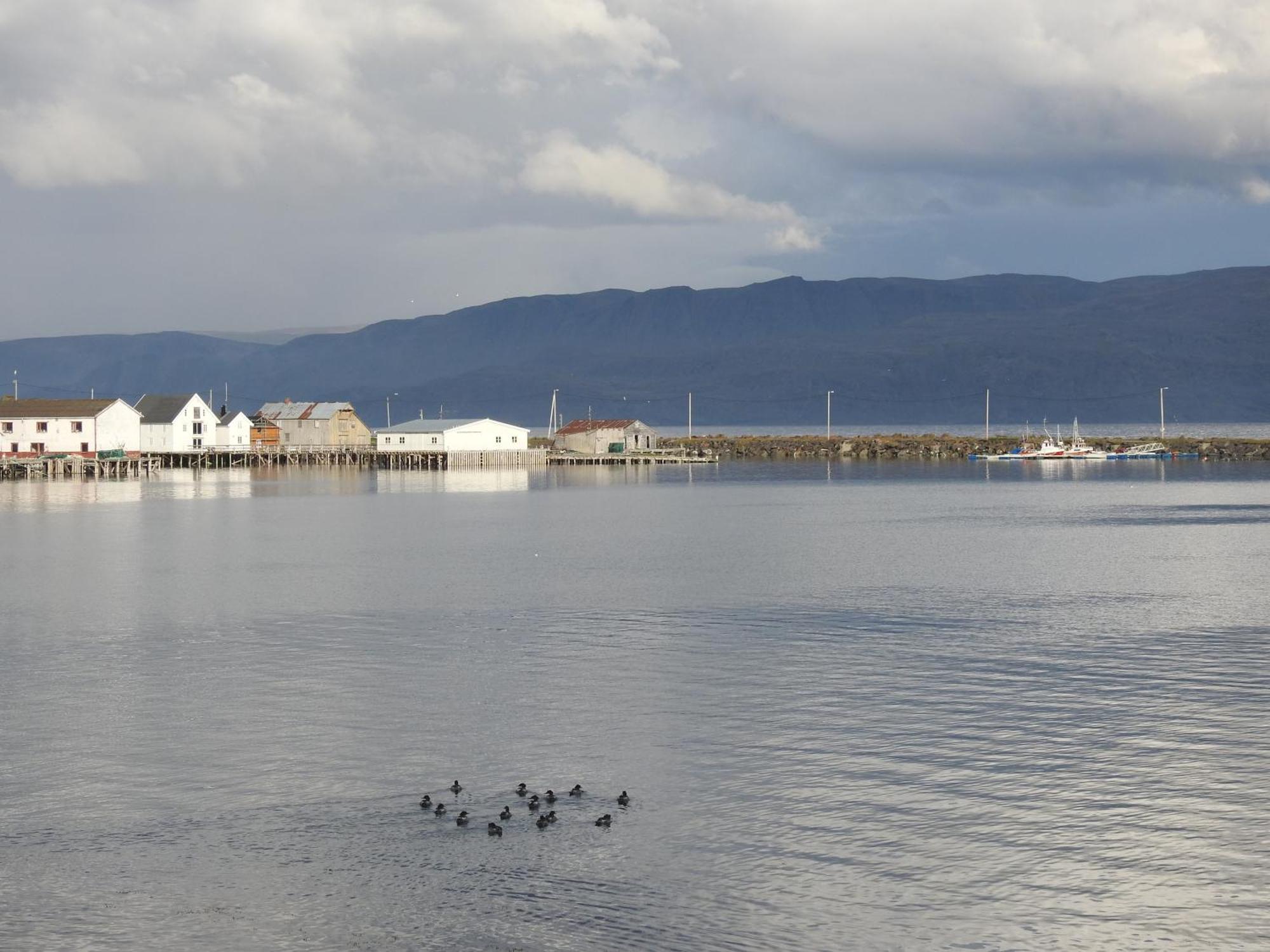 Kongsfjord Holiday Home Eksteriør bilde