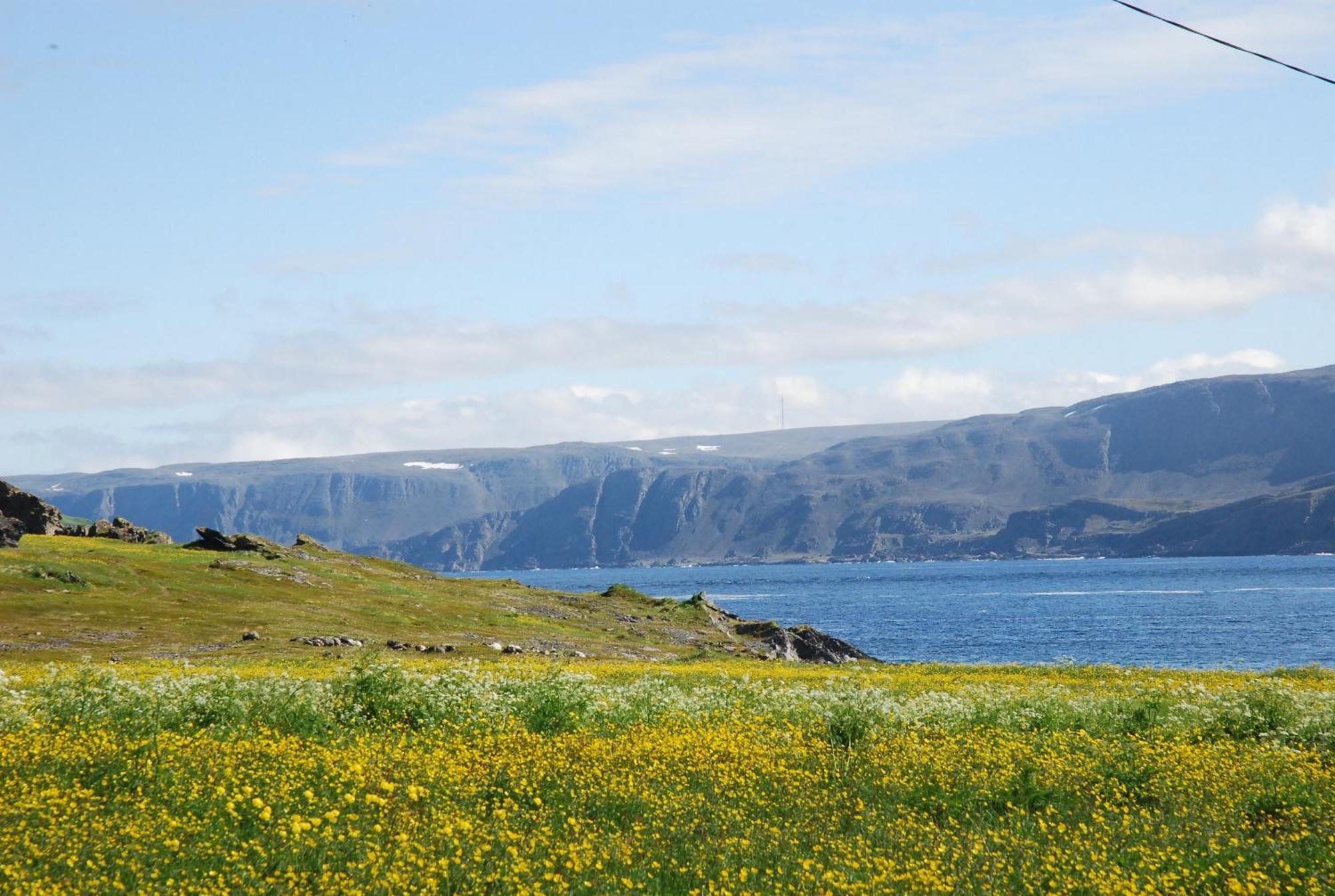 Kongsfjord Holiday Home Eksteriør bilde